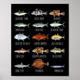 Arten von Salzwasserfischarten Biologie Angeln Lo Poster