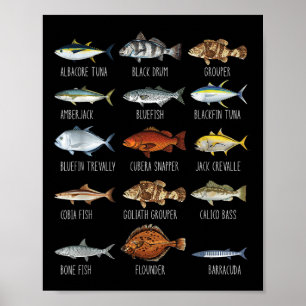 Arten von Salzwasserfischarten Biologie Angeln Lo Poster