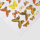 Arten von Schmetterlingen rotes Gelb Seidenpapier (Ausschnitt)