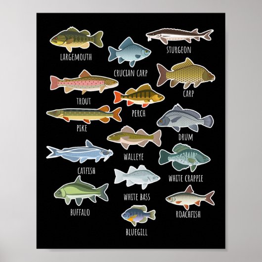 Arten von Süßwasserfischarten Angeln  Poster (Vorne)