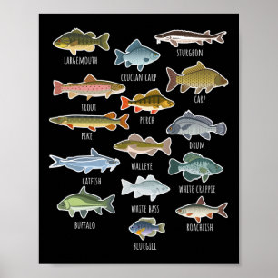 Arten von Süßwasserfischarten Angeln  Poster