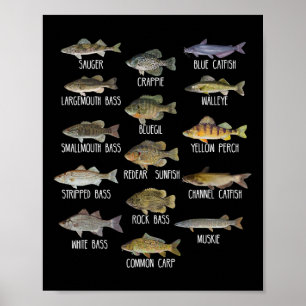 Arten von Süßwasserfischarten Biologie Fischerei Poster