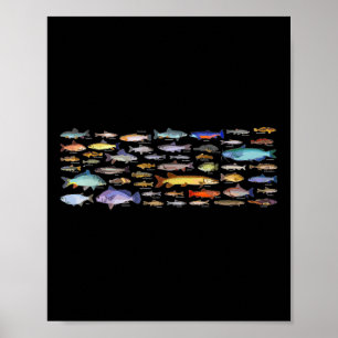 Arten von Süßwasserfischarten Biologie Fischerei  Poster