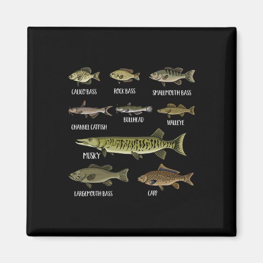 Arten von Süßwasserfischen Arten der Fischerei Magnet (Vorne)