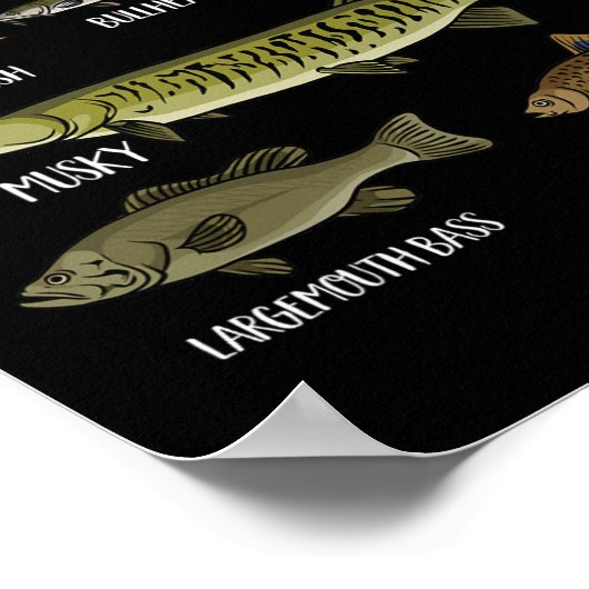 Arten von Süßwasserfischen Arten der Fischerei Poster (Ecke)
