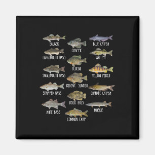 Arten von Süßwasserfischen Biologische Fischerei Magnet