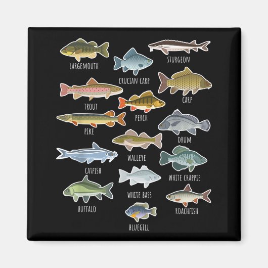 Arten von Süßwasserfischen Magnet (Vorne)