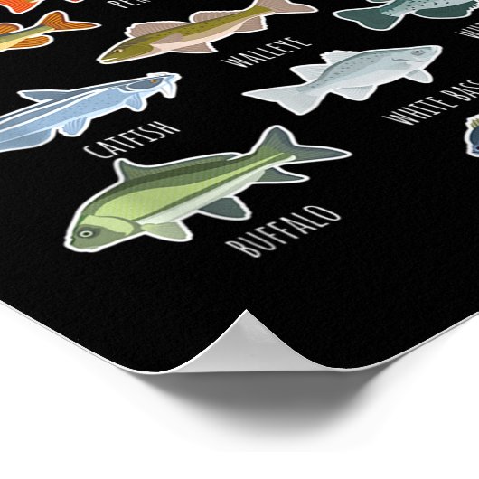 Arten von Süßwasserfischen Poster (Ecke)
