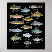 Arten von Süßwasserfischen Poster (Vorne)