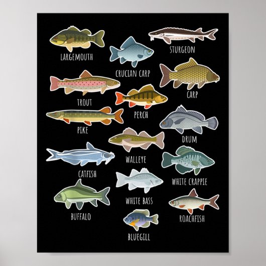 Arten von Süßwasserfischen Poster (Vorne)