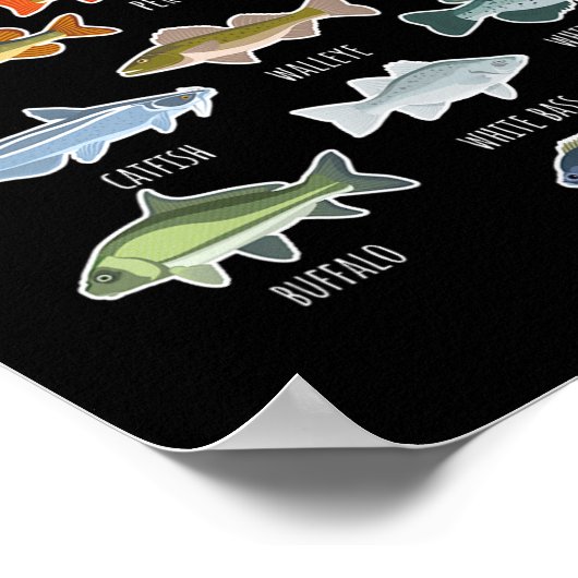 Arten von Süßwasserfischen Poster (Ecke)