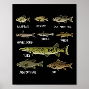 Arten von Süßwasserfischen Sorten Arten Angeln  Poster