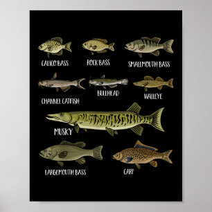 Arten von Süßwasserfischen Sorten Spezies Angeln  Poster