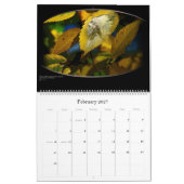 ARTEOLOGY 2007 KALENDER (Feb 2027)