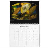 ARTEOLOGY 2007 KALENDER (Feb 2026)