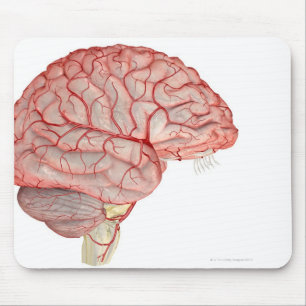 Arterien des Gehirns Mousepad
