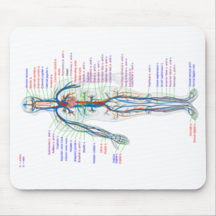 Arterien des menschlichen Kreislaufsystems der Mau Mousepad