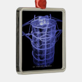 Arterien, die Teil der Wirbelsäule umgeben Silbernes Ornament (Rechts)