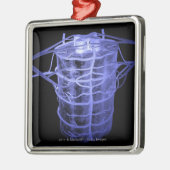 Arterien, die Teil der Wirbelsäule umgeben Silbernes Ornament (Links)