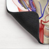Arterien und Adern im Kopf und im Hals Mousepad (Ecke)