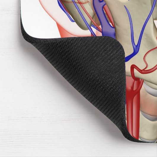 Arterien und Adern im Kopf und im Hals Mousepad (Ecke)