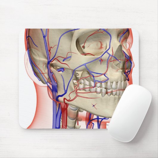 Arterien und Adern im Kopf und im Hals Mousepad (Mit Mouse)