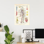 Arterien, Venen Lymphatik Anatomie Poster Französi (Heimbüro)