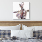 Arterien, Venen und Lymphsystem 1 Leinwanddruck (Insitu (Schlafzimmer))