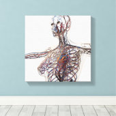 Arterien, Venen und Lymphsystem 1 Leinwanddruck (Insitu (Holzboden))