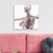Arterien, Venen und Lymphsystem 1 Leinwanddruck (Insitu (Wohnzimmer))