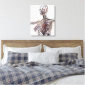 Arterien, Venen und Lymphsystem 1 Leinwanddruck (Insitu (Schlafzimmer))