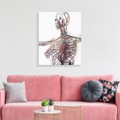Arterien, Venen und Lymphsystem 1 Leinwanddruck (Insitu (Wohnzimmer))