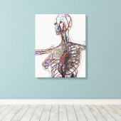 Arterien, Venen und Lymphsystem 1 Leinwanddruck (Insitu (Holzboden))