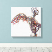 Arterien, Venen und Lymphsystem 2 Leinwanddruck (Insitu (Holzboden))