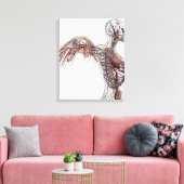 Arterien, Venen und Lymphsystem 2 Leinwanddruck (Insitu (Wohnzimmer))