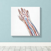 Arterien, Venen und Lymphsystem 3 Leinwanddruck (Insitu (Holzboden))