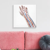 Arterien, Venen und Lymphsystem 3 Leinwanddruck (Insitu (Wohnzimmer))
