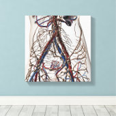 Arterien, Venen und Lymphsystem 4 Leinwanddruck (Insitu (Holzboden))