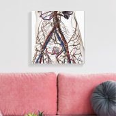 Arterien, Venen und Lymphsystem 4 Leinwanddruck (Insitu (Wohnzimmer))