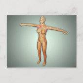 Arterien, Venen und Nervensystem Postkarte (Vorderseite)