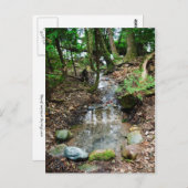 Artesischer Frühling Postkarte (Vorne/Hinten)