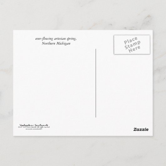 Artesischer Frühling Postkarte (Rückseite)