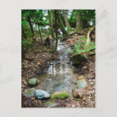 Artesischer Frühling Postkarte (Vorderseite)