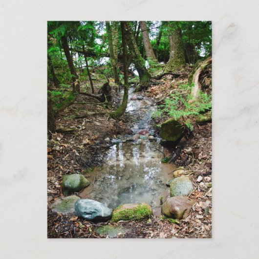 Artesischer Frühling Postkarte (Vorderseite)