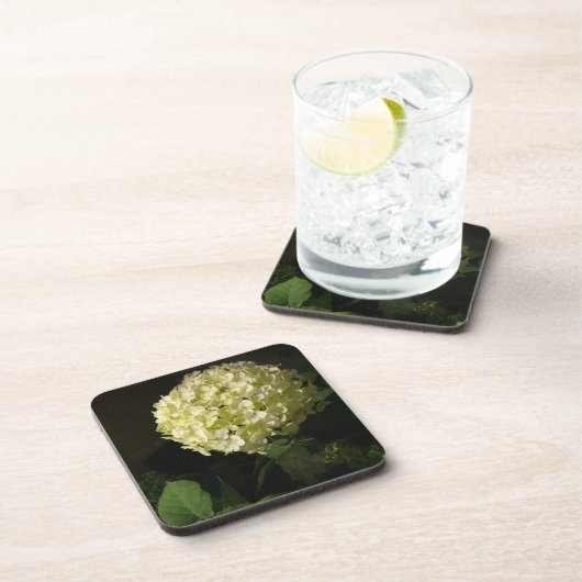 Artful Annabelle Hydrangea Bloom Getränkeuntersetzer (Rechte Seite)