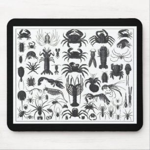 Arthropoda: Spinnen, Krabben, Muster der Hummer Mousepad