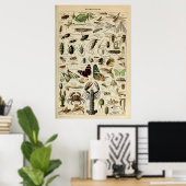 Arthropoden - Sammlung wirbelloser Tiere Poster (Heimbüro)