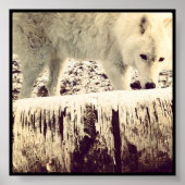 Arthur der Wolf Poster (Vorne)