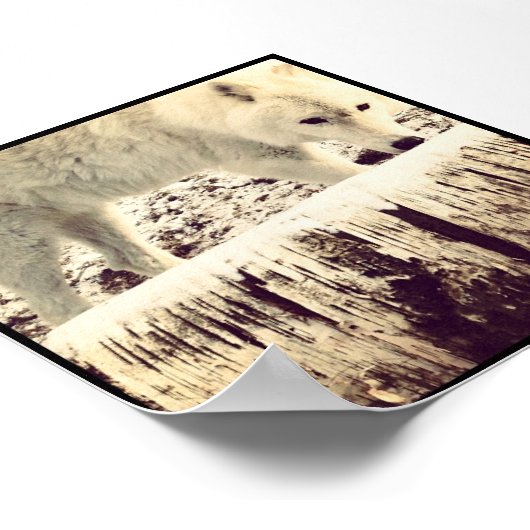 Arthur der Wolf Poster (Ecke)