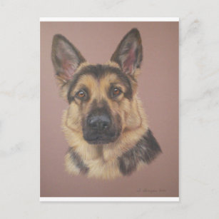 Arthur - Deutscher Schäferhund Postkarte